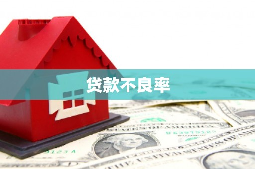 大洼贷款不良率