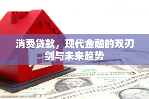 大洼消费贷款，现代金融的双刃剑与未来趋势