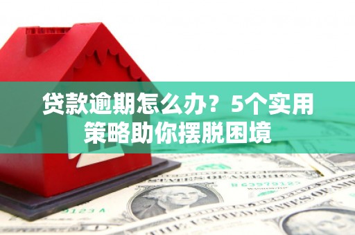 大洼贷款逾期怎么办？5个实用策略助你摆脱困境