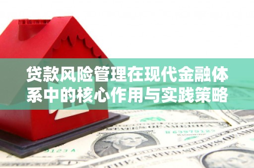 大洼贷款风险管理在现代金融体系中的核心作用与实践策略