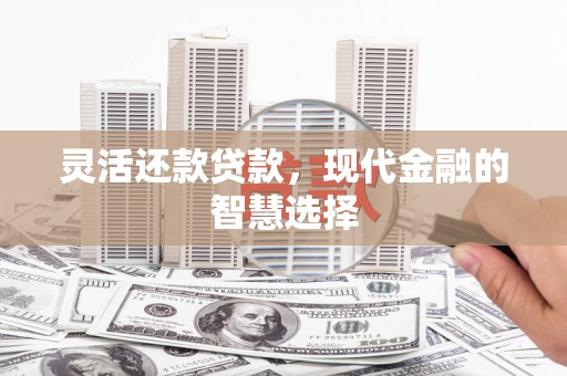 大洼灵活还款贷款，现代金融的智慧选择