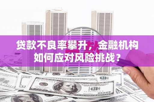 大洼贷款不良率攀升，金融机构如何应对风险挑战？