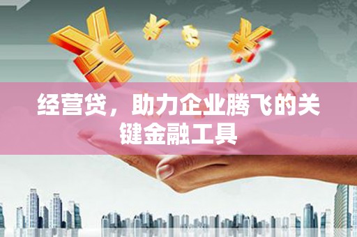 大洼经营贷，助力企业腾飞的关键金融工具