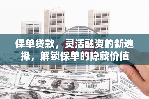 大洼保单贷款，灵活融资的新选择，解锁保单的隐藏价值