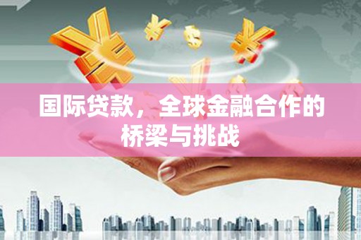 大洼国际贷款，全球金融合作的桥梁与挑战