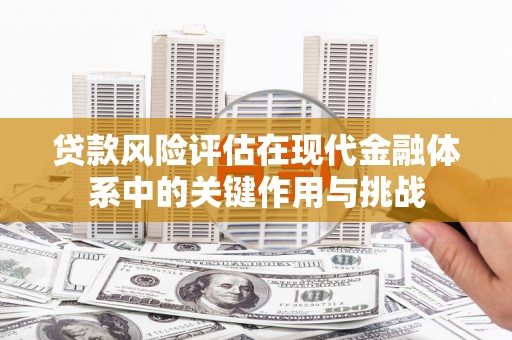 大洼贷款风险评估在现代金融体系中的关键作用与挑战
