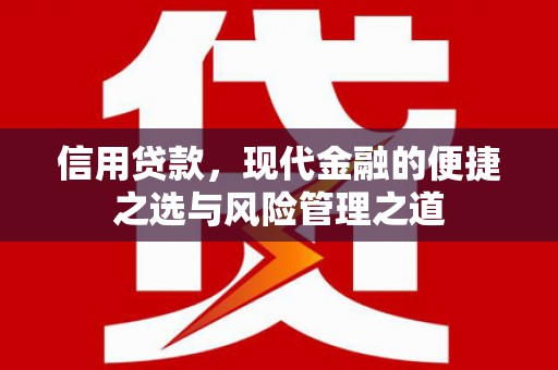 大洼信用贷款，现代金融的便捷之选与风险管理之道