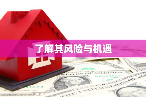 大洼了解其风险与机遇