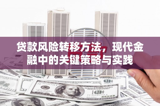 大洼贷款风险转移方法，现代金融中的关键策略与实践