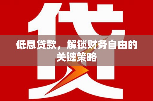 大洼低息贷款，解锁财务自由的关键策略
