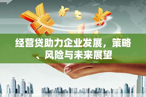 大洼经营贷助力企业发展，策略、风险与未来展望