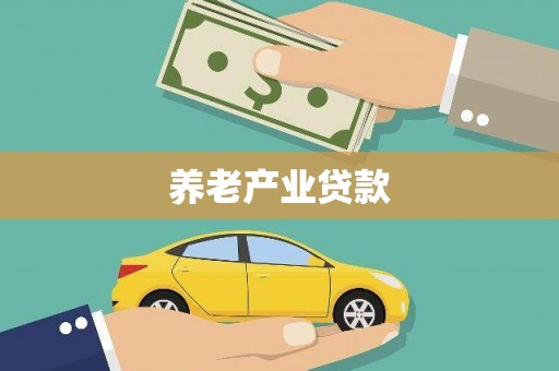 大洼养老产业贷款