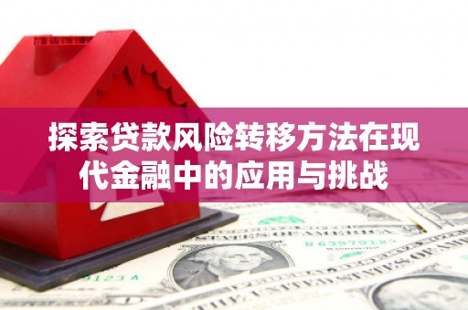 大洼探索贷款风险转移方法在现代金融中的应用与挑战