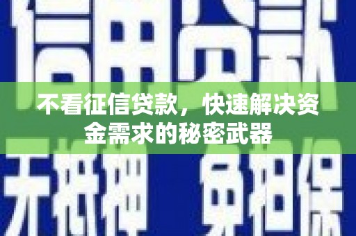 大洼不看征信贷款，快速解决资金需求的秘密武器