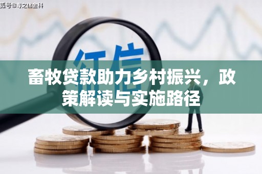 大洼畜牧贷款助力乡村振兴，政策解读与实施路径