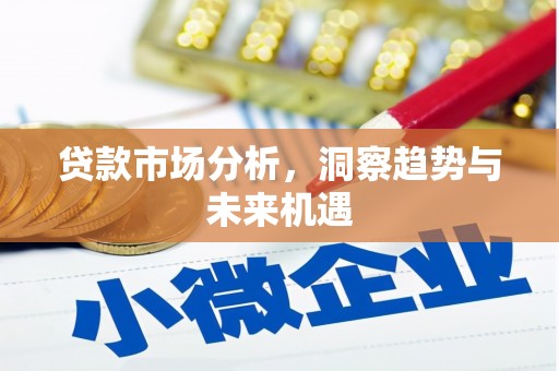 大洼贷款市场分析，洞察趋势与未来机遇