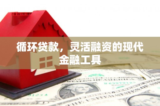 大洼循环贷款，灵活融资的现代金融工具
