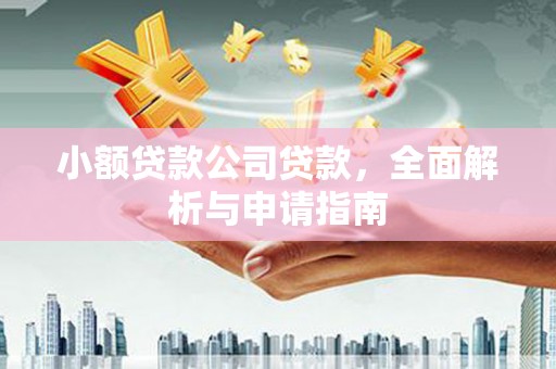 大洼小额贷款公司贷款，全面解析与申请指南