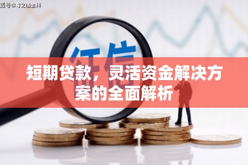 大洼短期贷款，灵活资金解决方案的全面解析