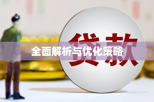 大洼全面解析与优化策略
