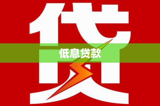 大洼低息贷款