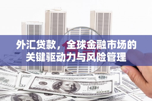 大洼外汇贷款，全球金融市场的关键驱动力与风险管理