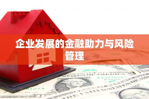 大洼企业发展的金融助力与风险管理