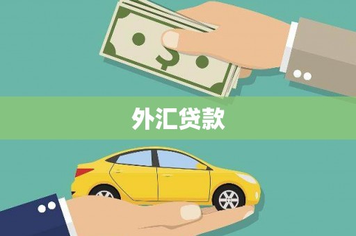 大洼外汇贷款