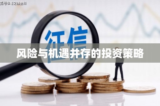 大洼风险与机遇并存的投资策略