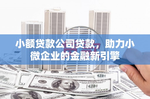 大洼小额贷款公司贷款，助力小微企业的金融新引擎