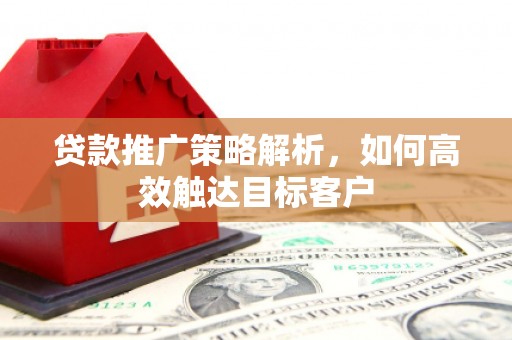 大洼贷款推广策略解析，如何高效触达目标客户