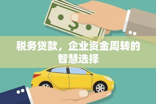 大洼税务贷款，企业资金周转的智慧选择