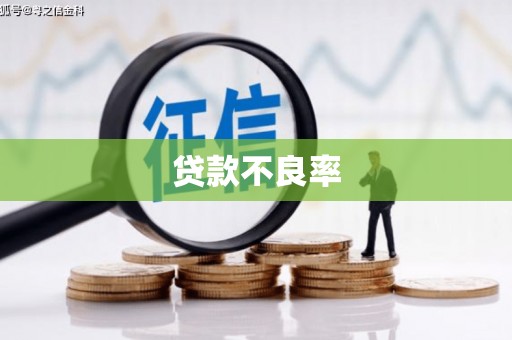 大洼贷款不良率