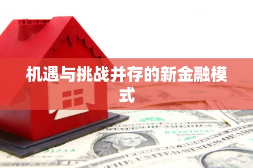 大洼机遇与挑战并存的新金融模式