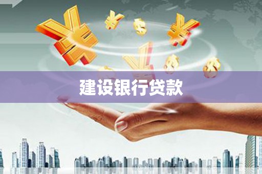 大洼建设银行贷款