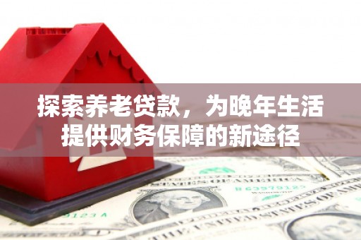 大洼探索养老贷款，为晚年生活提供财务保障的新途径
