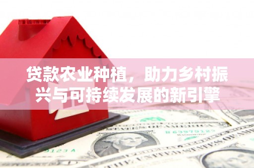 大洼贷款农业种植，助力乡村振兴与可持续发展的新引擎