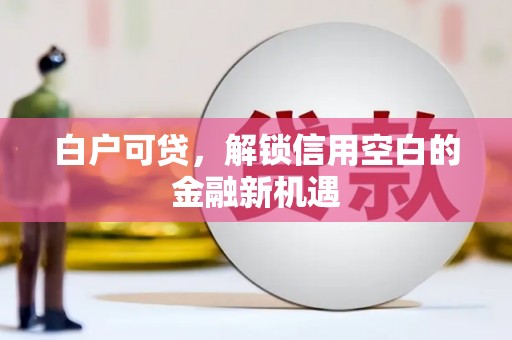 大洼白户可贷，解锁信用空白的金融新机遇