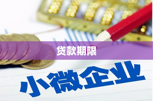 大洼贷款期限