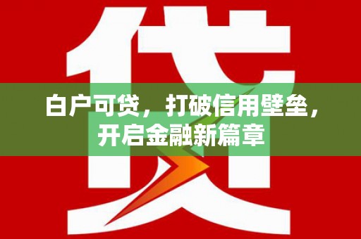 大洼白户可贷，打破信用壁垒，开启金融新篇章