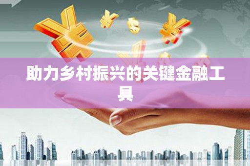 大洼助力乡村振兴的关键金融工具