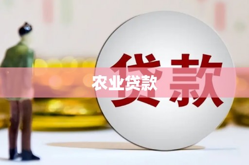大洼农业贷款