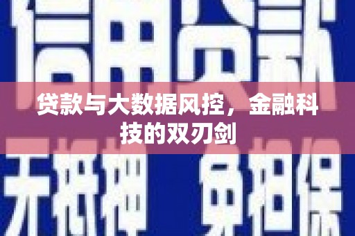大洼贷款与大数据风控，金融科技的双刃剑