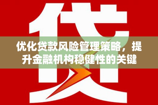 大洼优化贷款风险管理策略，提升金融机构稳健性的关键