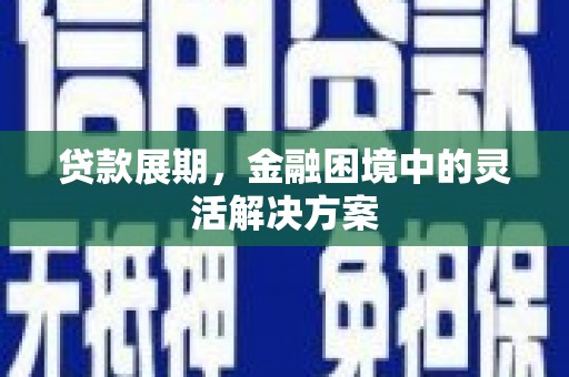 大洼贷款展期，金融困境中的灵活解决方案