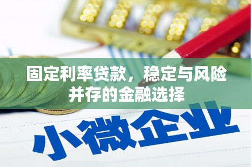 大洼固定利率贷款，稳定与风险并存的金融选择