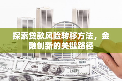 大洼探索贷款风险转移方法，金融创新的关键路径