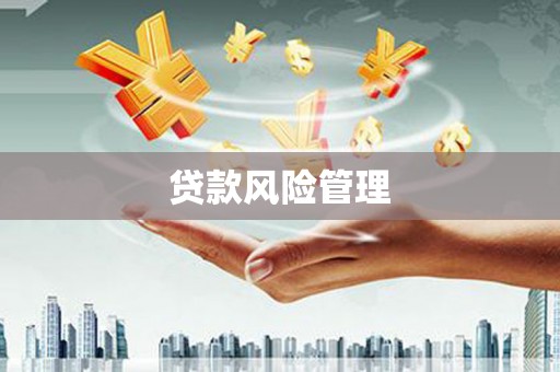 大洼贷款风险管理