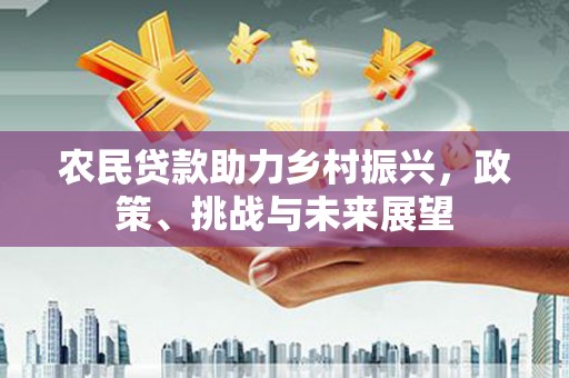 大洼农民贷款助力乡村振兴，政策、挑战与未来展望