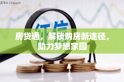 大洼房贷通，解锁购房新途径，助力梦想家园